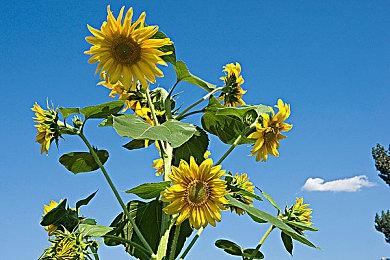 《破月勇者》已开启抢先体验 获多半好评