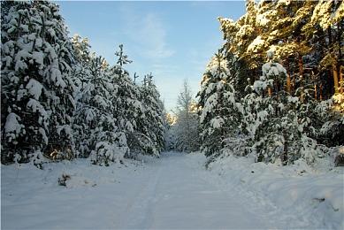 《刺客信条：英灵殿》Steam成就已更新 支持92个